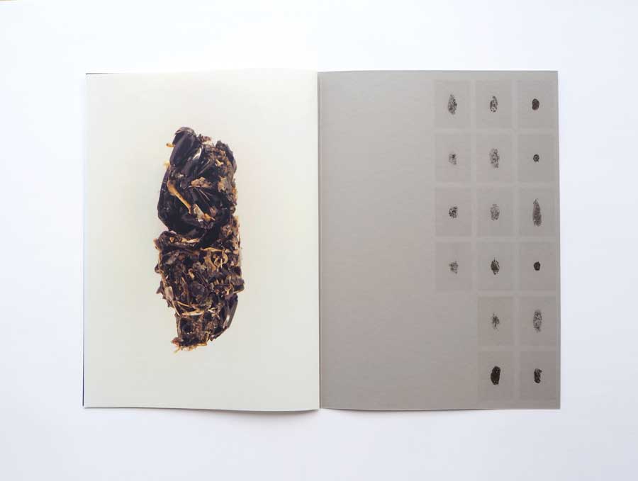 Sibylle Eimermacher, Martin Brandsma, publication From the Archives of absence, archives of presence