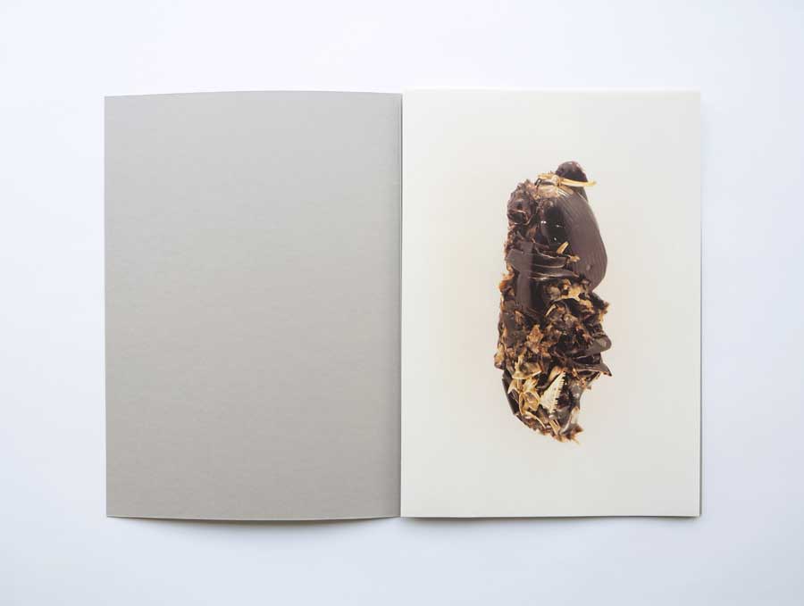 Sibylle Eimermacher, Martin Brandsma, publication From the Archives of absence, archives of presence